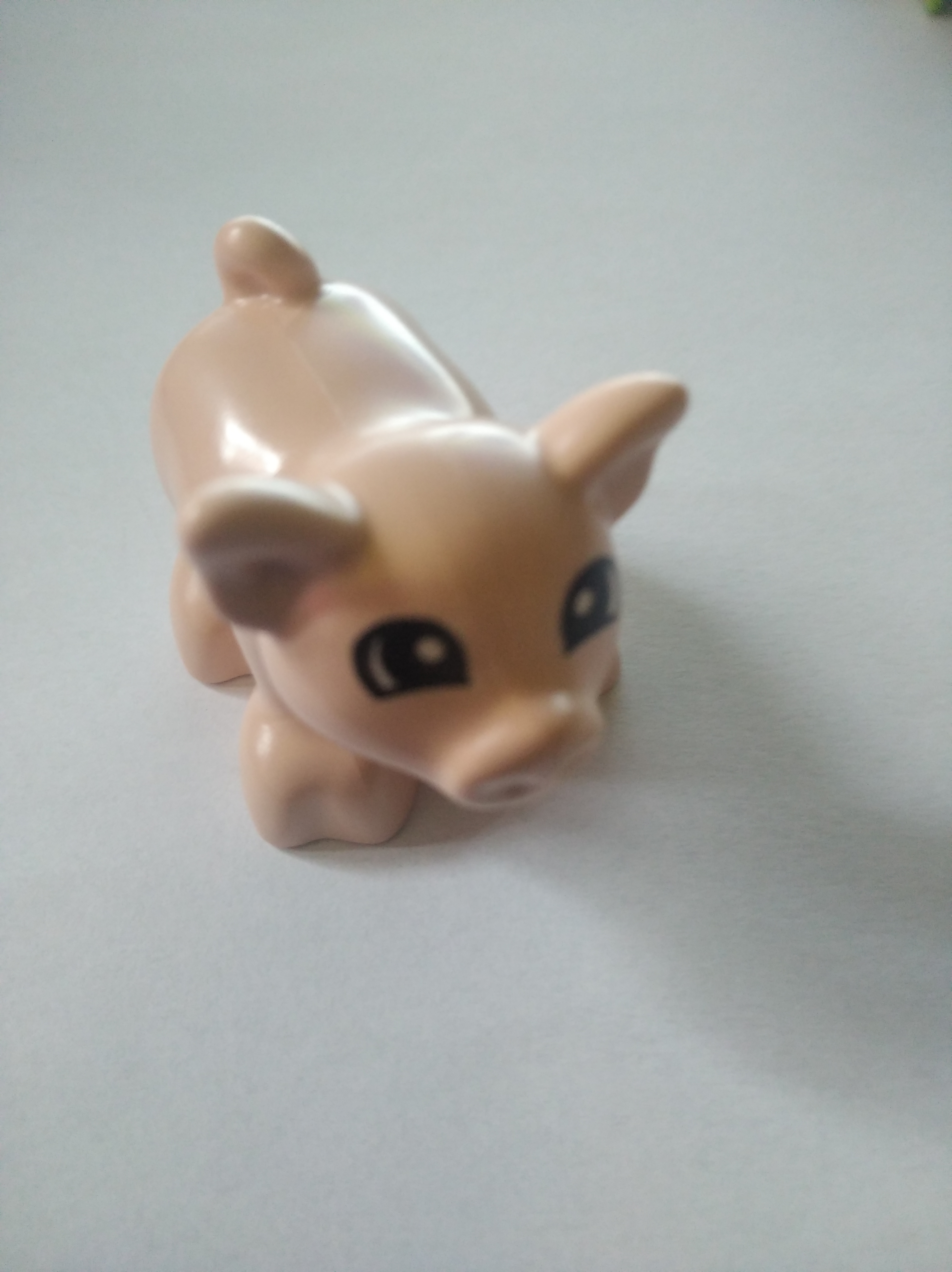 LEGO® DUPLO® PRASE PRASÁTKO SELÁTKO