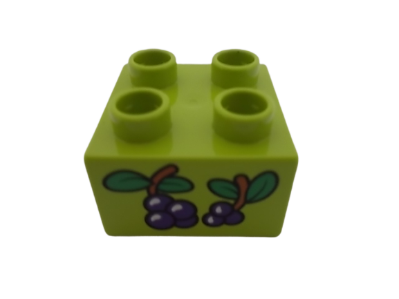 LEGO® DUPLO® KOSTKA 2X2 S POTISKEM BORŮVKY