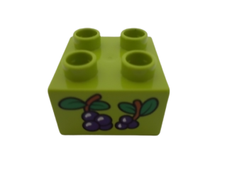 DÁREK Č. 16 - DUPLO® POTISK BORŮVKY