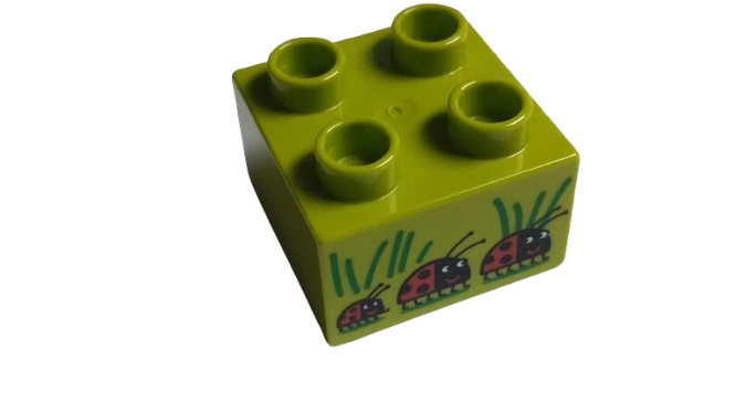 LEGO® DUPLO® KOSTKA 2X2 POTISK BERUŠKY BERUŠKA