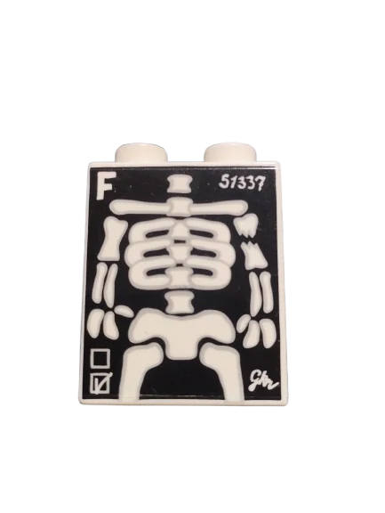 LEGO® DUPLO® KOSTKA 2X1 POTISK RENTGEN