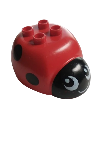 LEGO® DUPLO® BERUŠKA