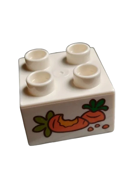 LEGO® DUPLO® KOSTKA 2X2 POTISK MRKEV